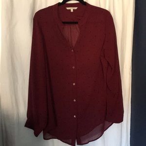 Burgundy 41 Hawthorne Sheer Blouse 2X